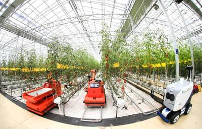 點點手機就能管理大棚，濰坊壽光以數字化賦能蔬菜產業升級